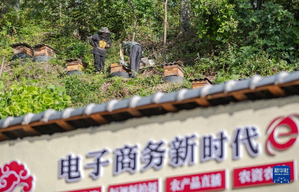 巴黎人真钱登录